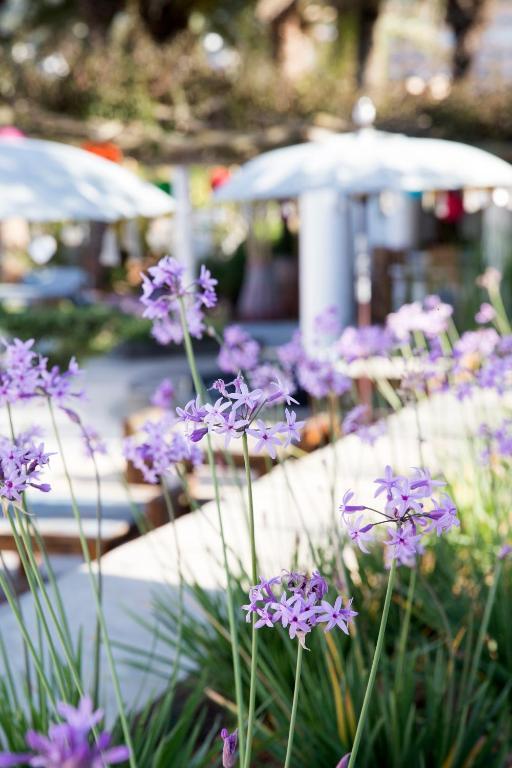 Hotel Ibizazen Santa Eularia des Riu Zewnętrze zdjęcie